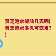 灵芝泡水能放几天呢(灵芝泡水多久可饮用？)