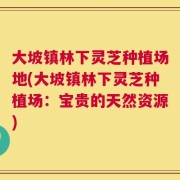 大坡镇林下灵芝种植场地(大坡镇林下灵芝种植场：宝贵的天然资源)