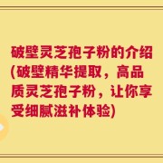 破壁灵芝孢子粉的介绍(破壁精华提取，高品质灵芝孢子粉，让你享受细腻滋补体验)