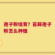 孢子粉培育？苔藓孢子粉怎么种植