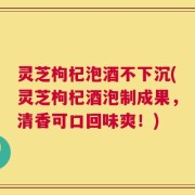 灵芝枸杞泡酒不下沉(灵芝枸杞酒泡制成果，清香可口回味爽！)