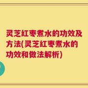 灵芝红枣煮水的功效及方法(灵芝红枣煮水的功效和做法解析)
