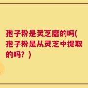 孢子粉是灵芝磨的吗(孢子粉是从灵芝中提取的吗？)