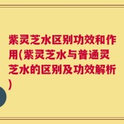 紫灵芝水区别功效和作用(紫灵芝水与普通灵芝水的区别及功效解析)