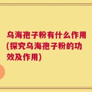 乌海孢子粉有什么作用(探究乌海孢子粉的功效及作用)