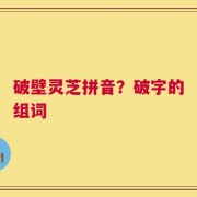 破壁灵芝拼音？破字的组词
