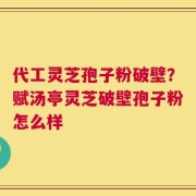 代工灵芝孢子粉破壁？赋汤亭灵芝破壁孢子粉怎么样
