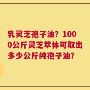 乳灵芝孢子油？1000公斤灵芝萃体可取出多少公斤纯孢子油？