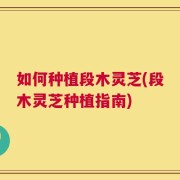 如何种植段木灵芝(段木灵芝种植指南)