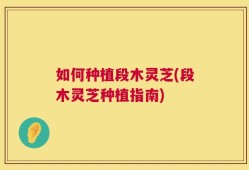 如何种植段木灵芝(段木灵芝种植指南)