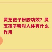 灵芝孢子粉胶功效？灵芝孢子粉对人体有什么作用