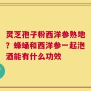 灵芝孢子粉西洋参熟地？蜂蛹和西洋参一起泡酒能有什么功效