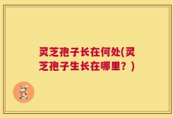 灵芝孢子长在何处(灵芝孢子生长在哪里？)