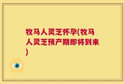 牧马人灵芝怀孕(牧马人灵芝预产期即将到来)