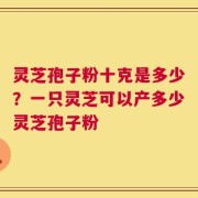 灵芝孢子粉十克是多少？一只灵芝可以产多少灵芝孢子粉