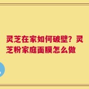 灵芝在家如何破壁？灵芝粉家庭面膜怎么做