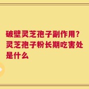破壁灵芝孢子副作用？灵芝孢子粉长期吃害处是什么