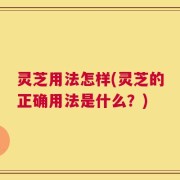 灵芝用法怎样(灵芝的正确用法是什么？)
