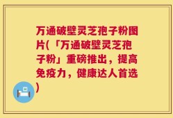 万通破壁灵芝孢子粉图片(「万通破壁灵芝孢子粉」重磅推出，提高免疫力，健康达人首选)