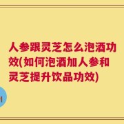 人参跟灵芝怎么泡酒功效(如何泡酒加人参和灵芝提升饮品功效)