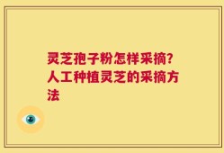 灵芝孢子粉怎样采摘？人工种植灵芝的采摘方法