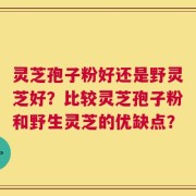 灵芝孢子粉好还是野灵芝好？比较灵芝孢子粉和野生灵芝的优缺点？