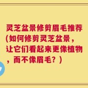 灵芝盆景修剪眉毛推荐(如何修剪灵芝盆景，让它们看起来更像植物，而不像眉毛？)