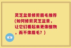 灵芝盆景修剪眉毛推荐(如何修剪灵芝盆景，让它们看起来更像植物，而不像眉毛？)