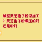 破壁灵芝孢子粉深加工？灵芝孢子粉碾压的好还是粉好