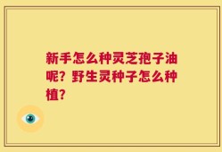 新手怎么种灵芝孢子油呢？野生灵种子怎么种植？