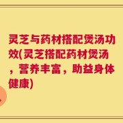 灵芝与药材搭配煲汤功效(灵芝搭配药材煲汤，营养丰富，助益身体健康)