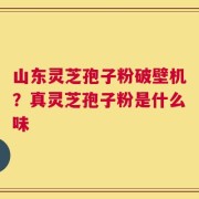 山东灵芝孢子粉破壁机？真灵芝孢子粉是什么味