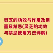 灵芝的功效与作用及用量及禁忌(灵芝的功效与禁忌使用方法详解)