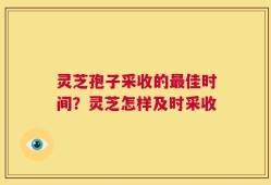 灵芝孢子采收的最佳时间？灵芝怎样及时采收