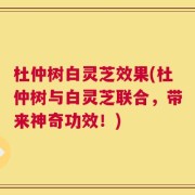 杜仲树白灵芝效果(杜仲树与白灵芝联合，带来神奇功效！)