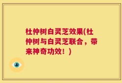 杜仲树白灵芝效果(杜仲树与白灵芝联合，带来神奇功效！)