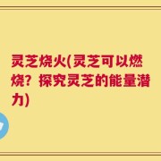灵芝烧火(灵芝可以燃烧？探究灵芝的能量潜力)