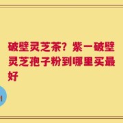 破壁灵芝茶？紫一破壁灵芝孢子粉到哪里买最好
