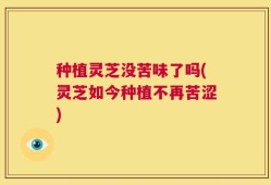 种植灵芝没苦味了吗(灵芝如今种植不再苦涩)