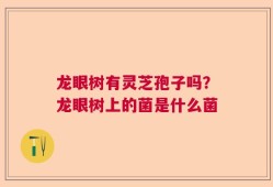 龙眼树有灵芝孢子吗？龙眼树上的菌是什么菌