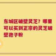 东城区破壁灵芝？哪里可以买到正宗的灵芝破壁孢子粉