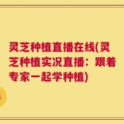 灵芝种植直播在线(灵芝种植实况直播：跟着专家一起学种植)