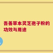 吾善草本灵芝孢子粉的功效与用途