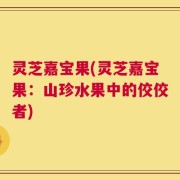 灵芝嘉宝果(灵芝嘉宝果：山珍水果中的佼佼者)