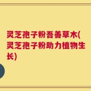 灵芝孢子粉吾善草木(灵芝孢子粉助力植物生长)