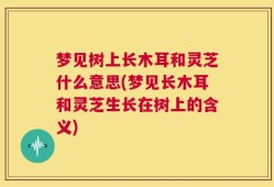 梦见树上长木耳和灵芝什么意思(梦见长木耳和灵芝生长在树上的含义)