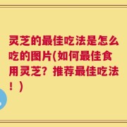 灵芝的最佳吃法是怎么吃的图片(如何最佳食用灵芝？推荐最佳吃法！)