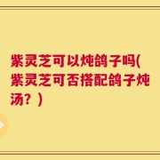 紫灵芝可以炖鸽子吗(紫灵芝可否搭配鸽子炖汤？)
