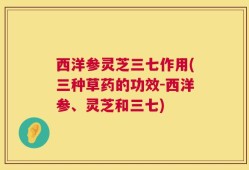 西洋参灵芝三七作用(三种草药的功效-西洋参、灵芝和三七)
