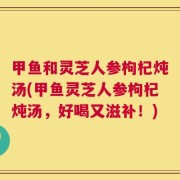 甲鱼和灵芝人参枸杞炖汤(甲鱼灵芝人参枸杞炖汤，好喝又滋补！)